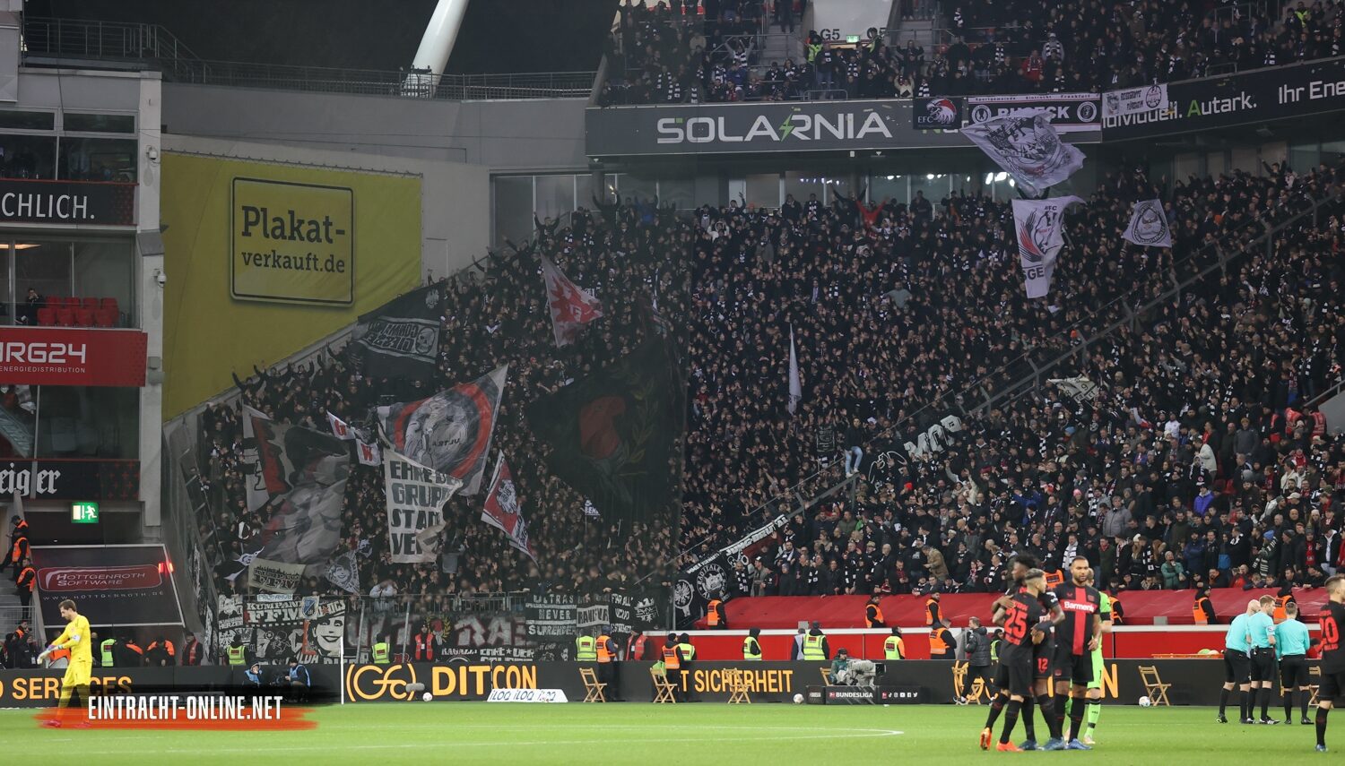Bayer 04 Leverkusen – Eintracht Frankfurt 3-0 (2)
