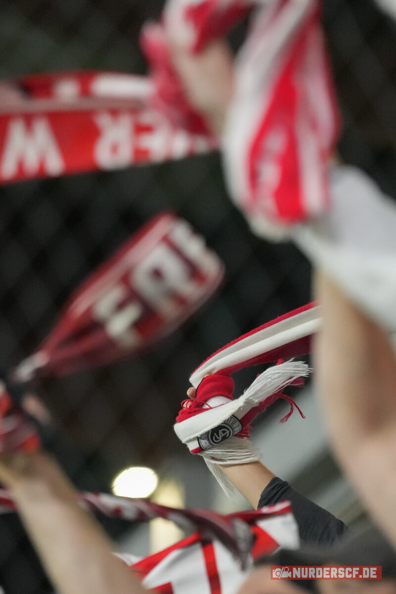 TSC Backa Topola – SC Freiburg 1-3 (17)