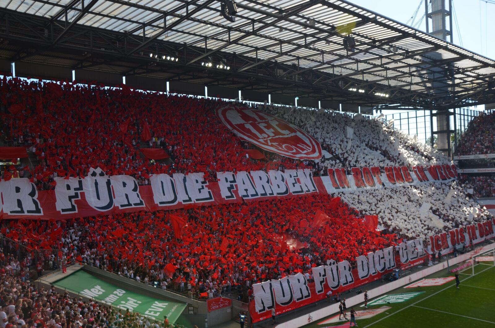 1. FC Köln – FC Schalke 04 3-1 (23)