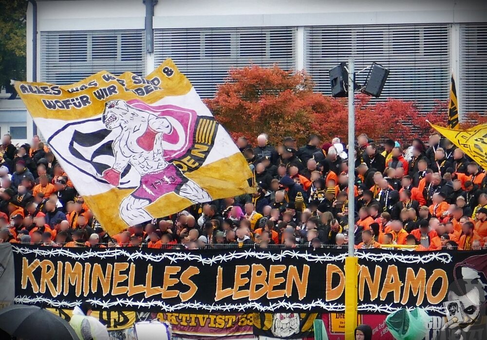 SpVgg Bayreuth – Dynamo Dresden 1-1 (6)