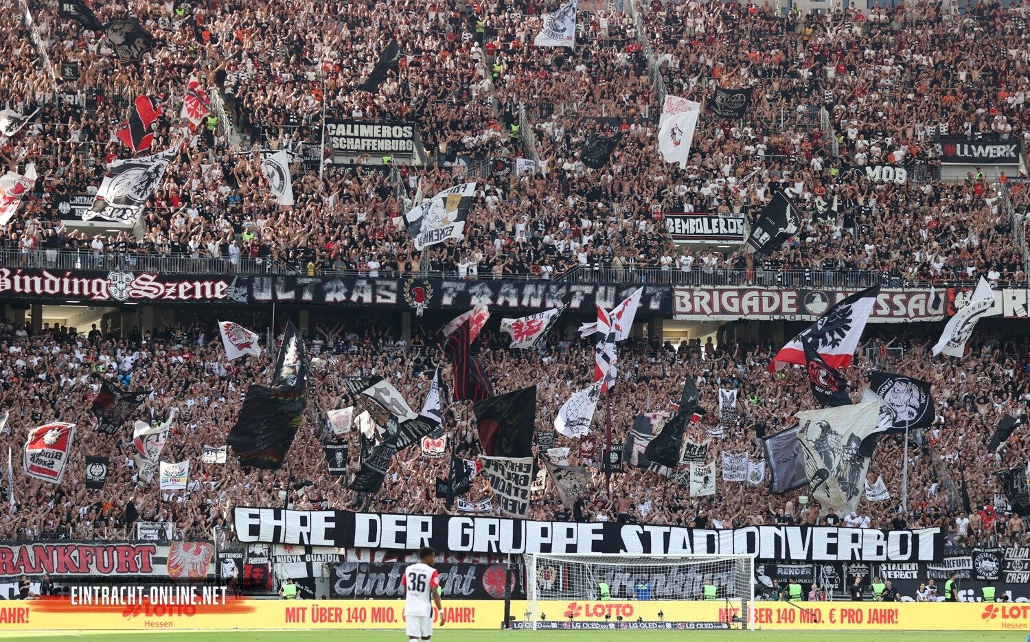 Eintracht Frankfurt – TSG Hoffenheim 3-1 (37)
