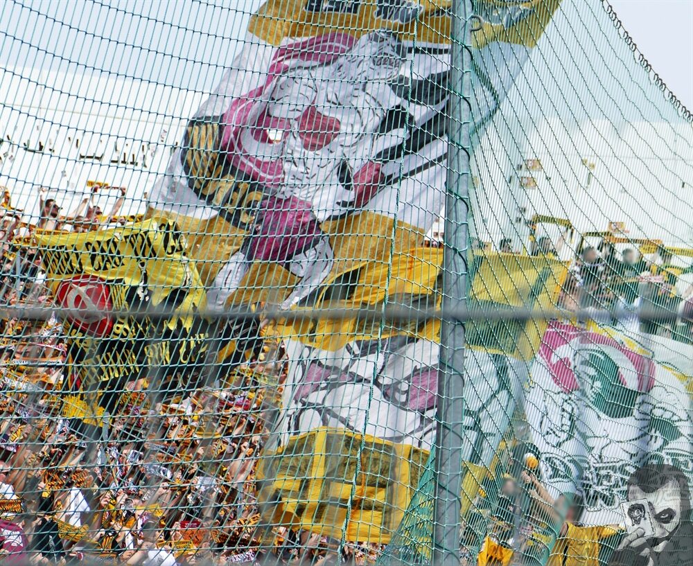 SpVgg Unterhaching – Dynamo Dresden 1-2 (1)