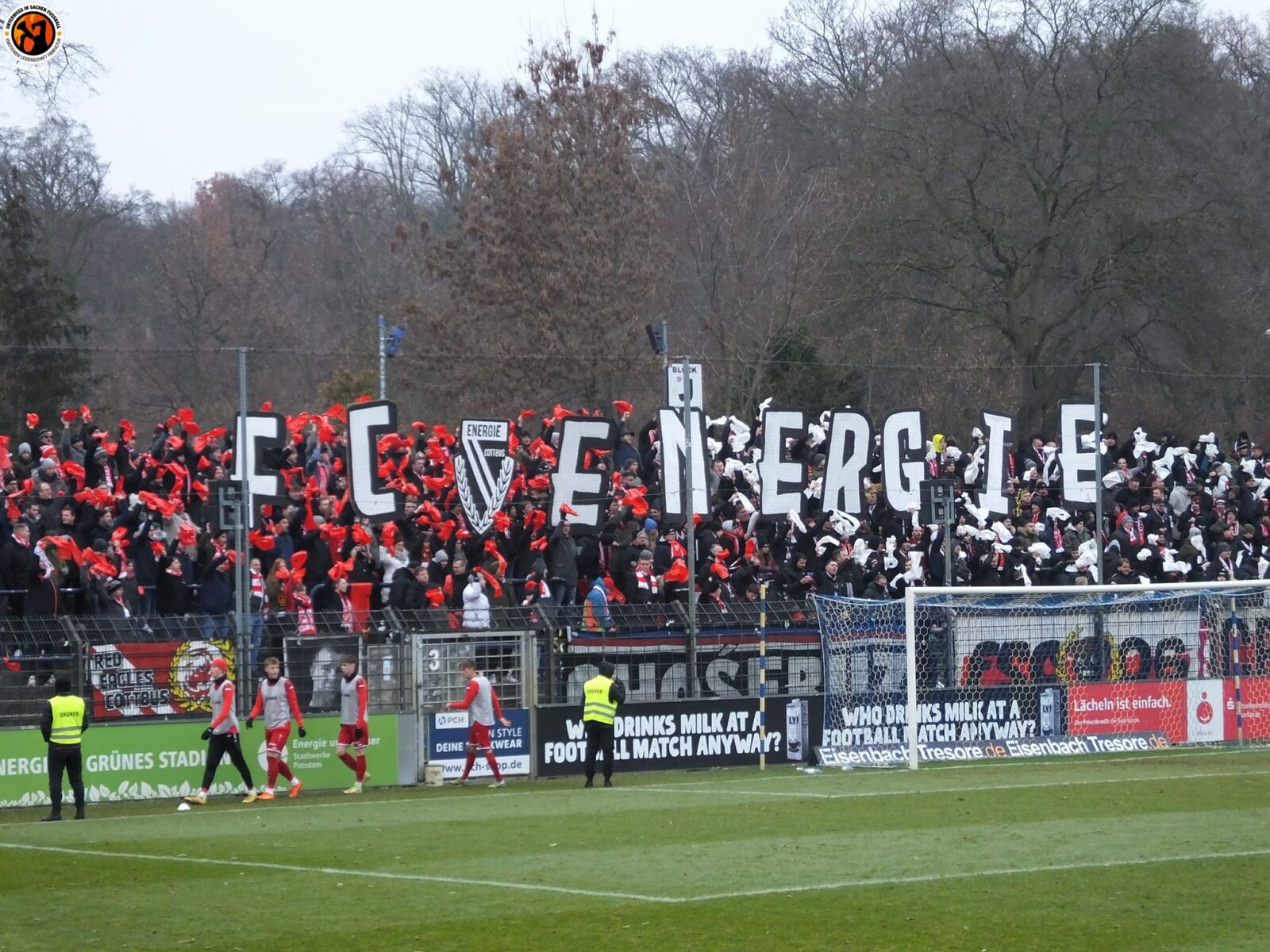SV Babelsberg 03 – FC Energie Cottbus 0-1 (3)