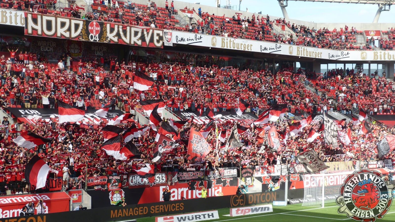 Bayer 04 Leverkusen – SC Freiburg 2-3 (3)