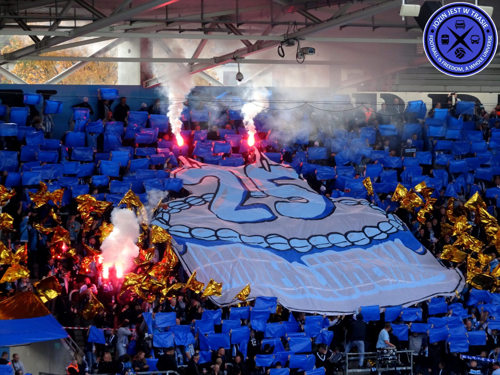 Chemnitzer FC – VFC Plauen 0-1 (33)