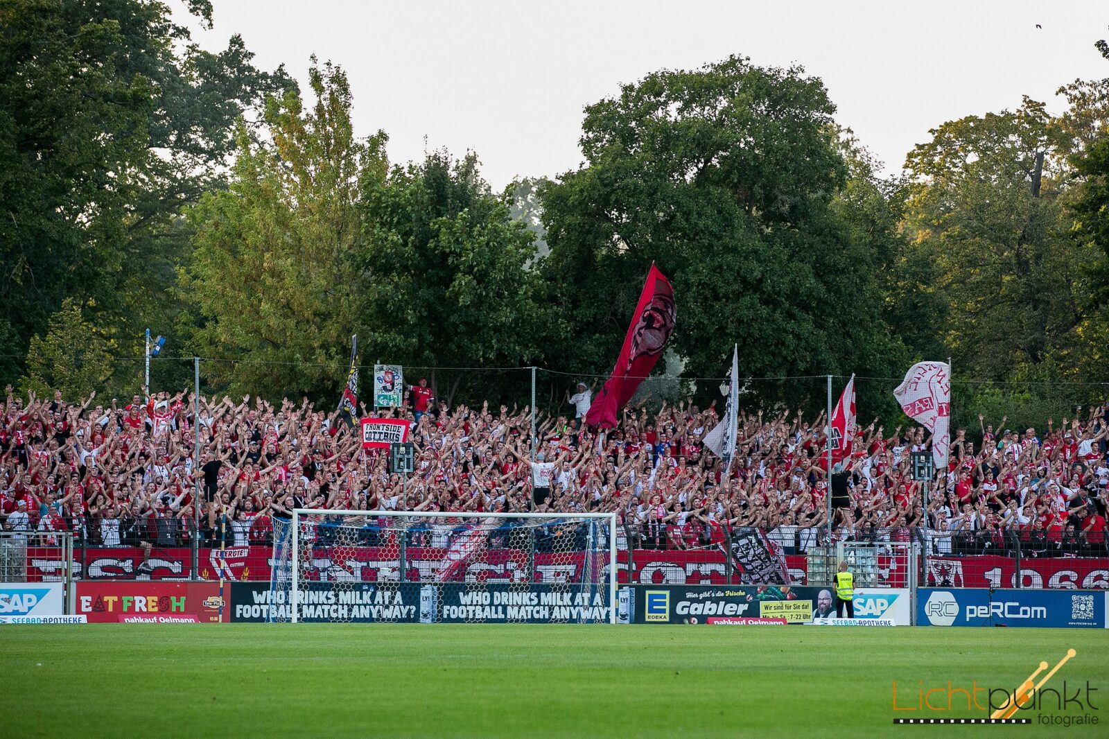 SV Babelsberg 03 – FC Energie Cottbus 2-3 (1)