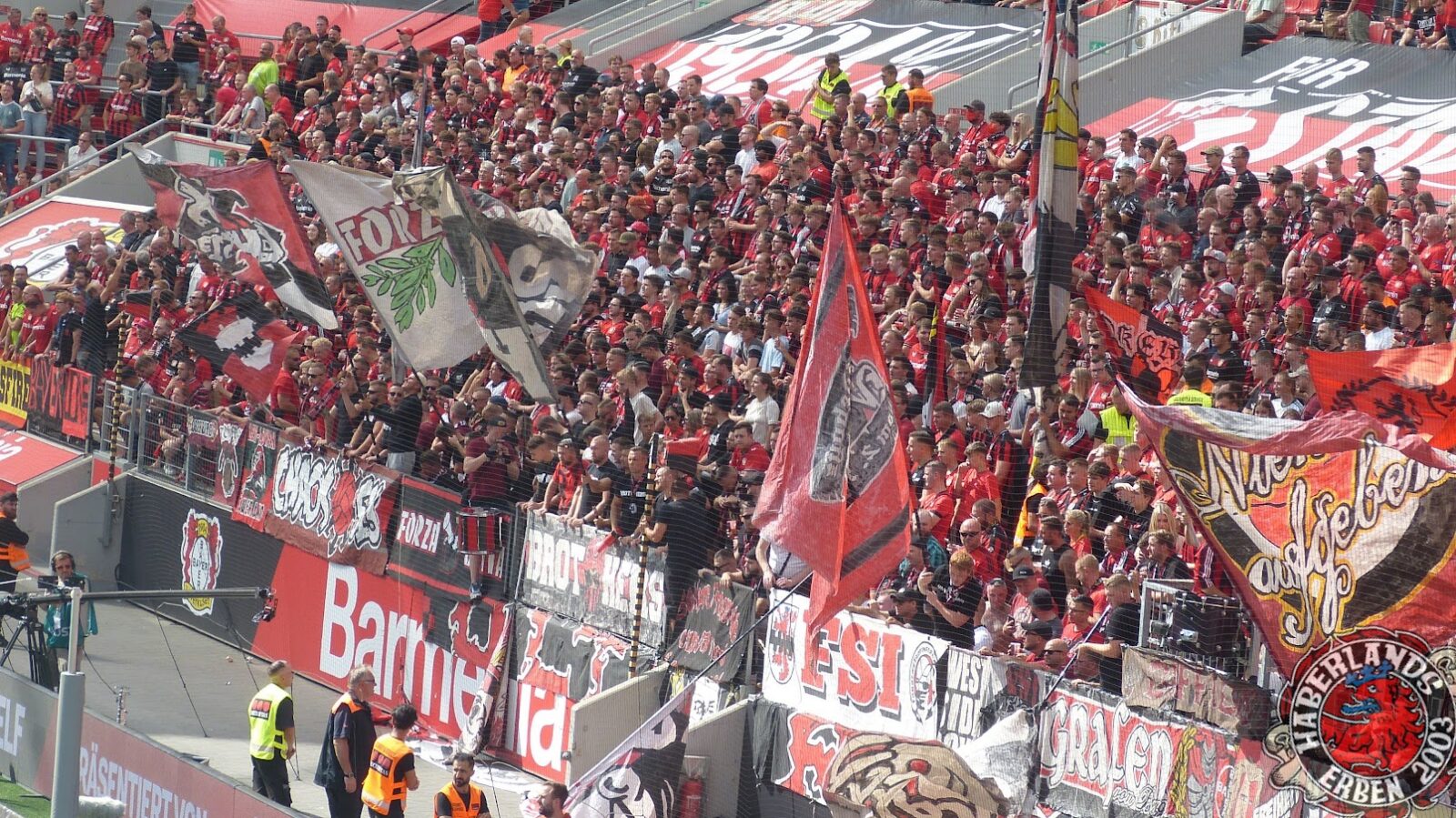 Bayer 04 Leverkusen – TSG Hoffenheim 0-3 (12)