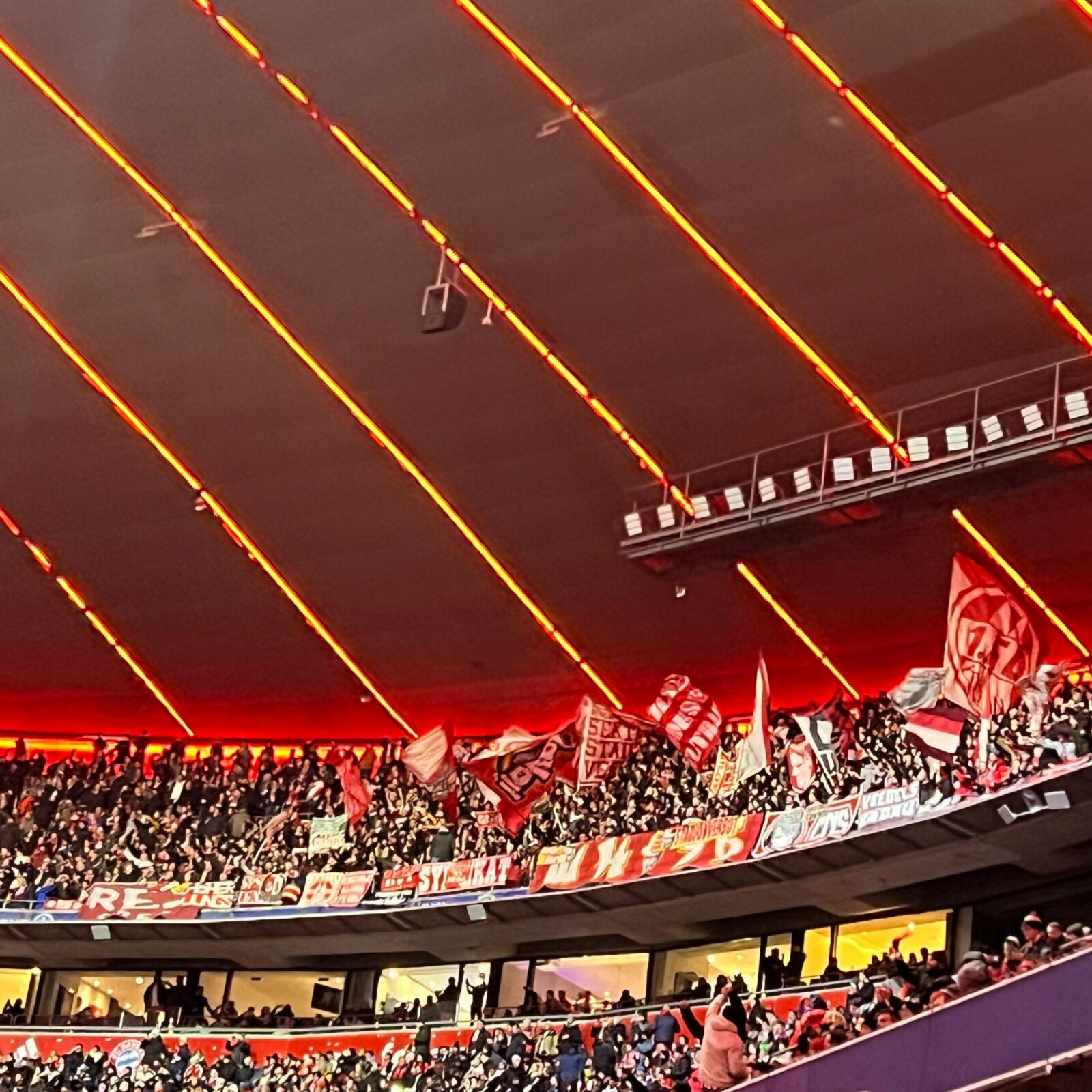 FC Bayern München – 1. FC Köln 1-1 (16)