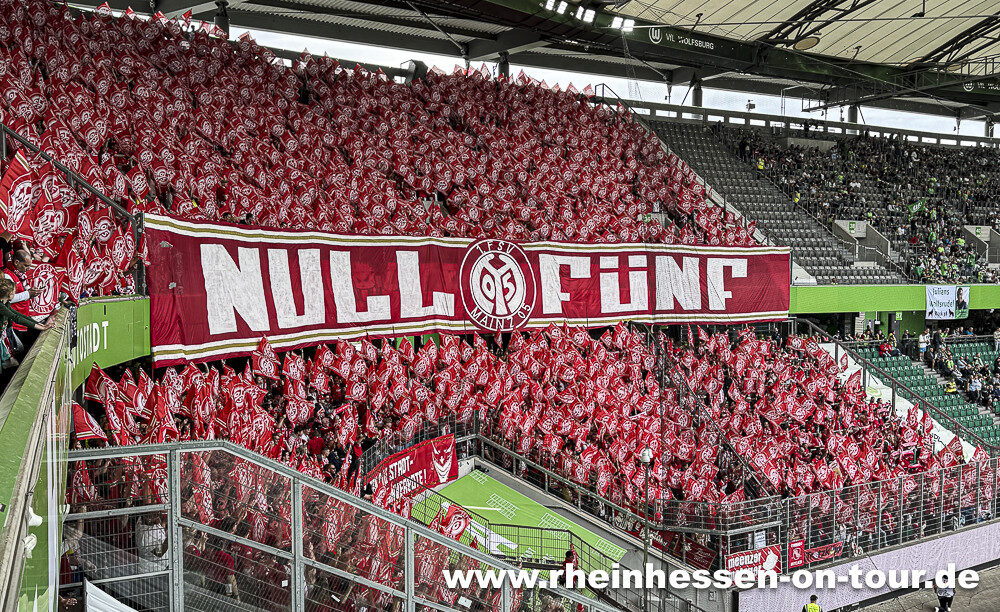 VfL Wolfsburg – 1. FSV Mainz 05 1-3 (12)