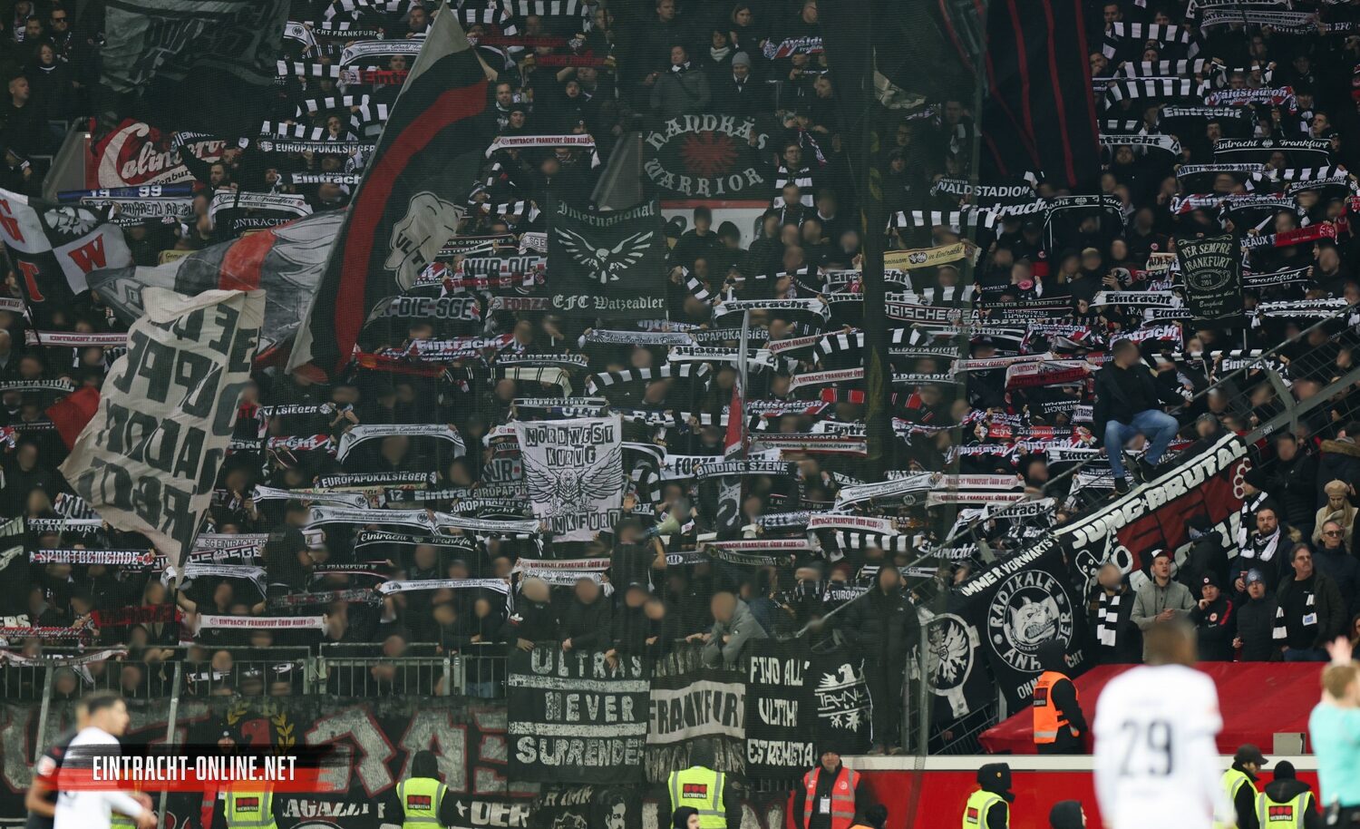 Bayer 04 Leverkusen – Eintracht Frankfurt 3-0 (6)