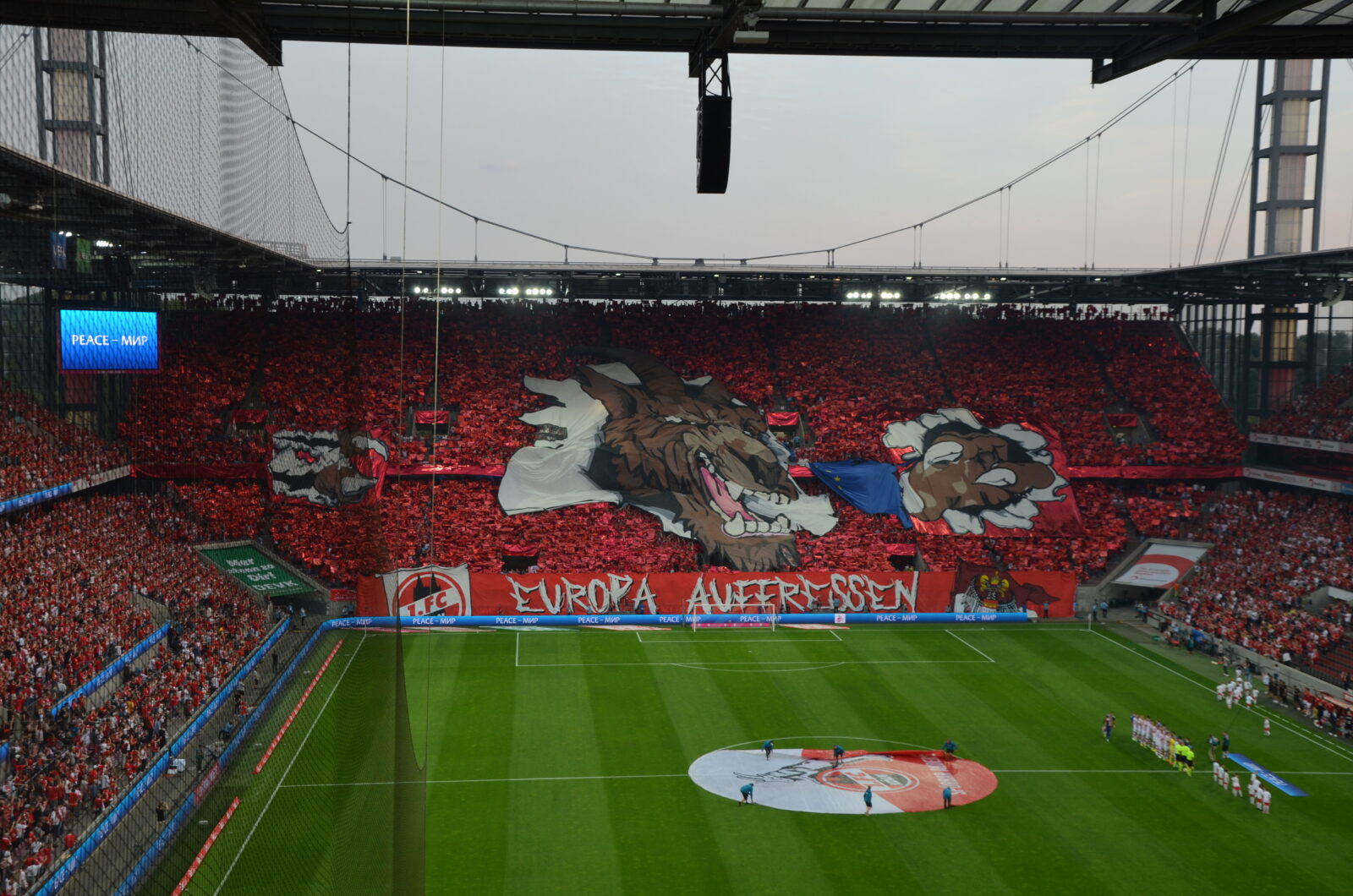 1. FC Köln – Fehérvár FC 1-2 (2)