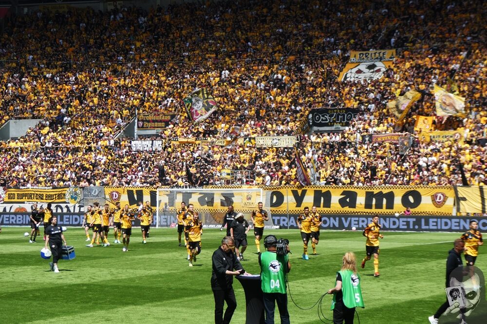 Dynamo Dresden – VfB Oldenburg 2-1 (13)