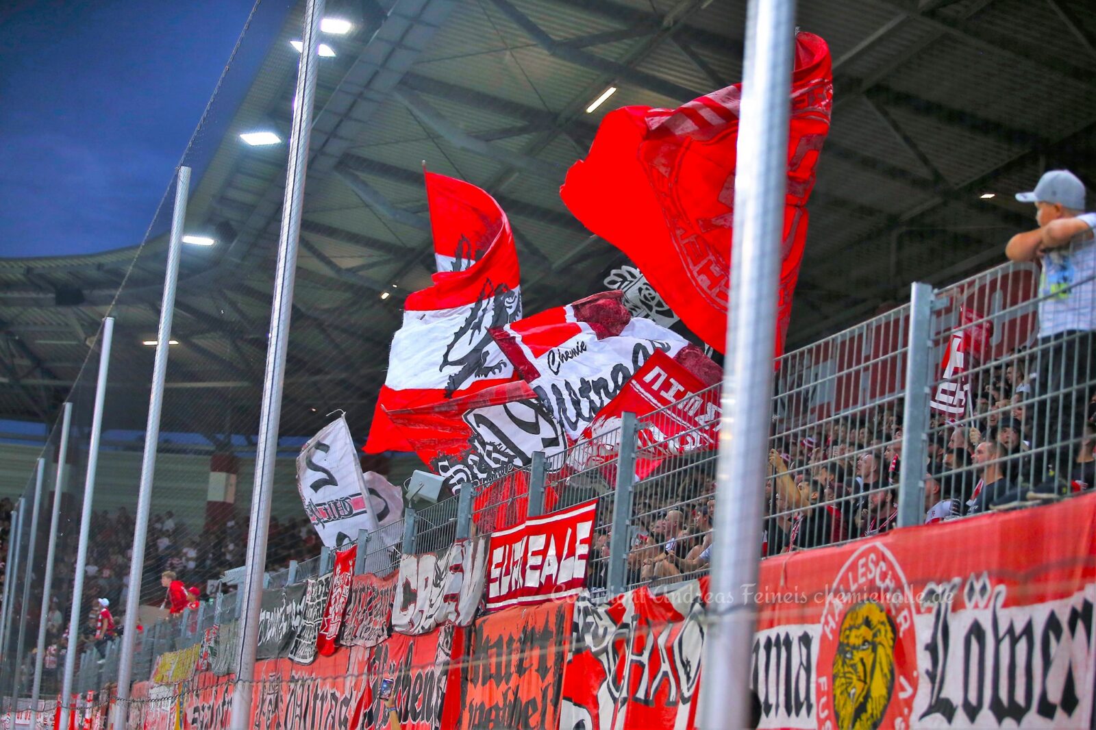 Hallescher FC – SV Meppen 1-1 (6)