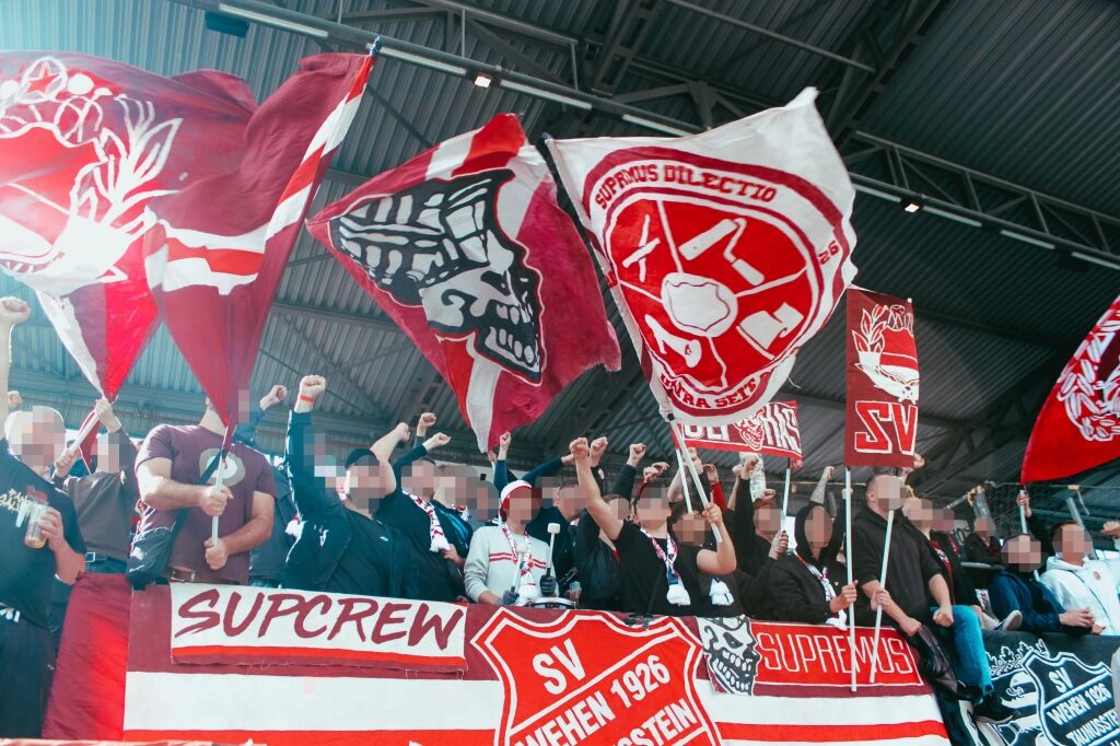 SV Waldhof Mannheim – SV Wehen 1-0 (12)