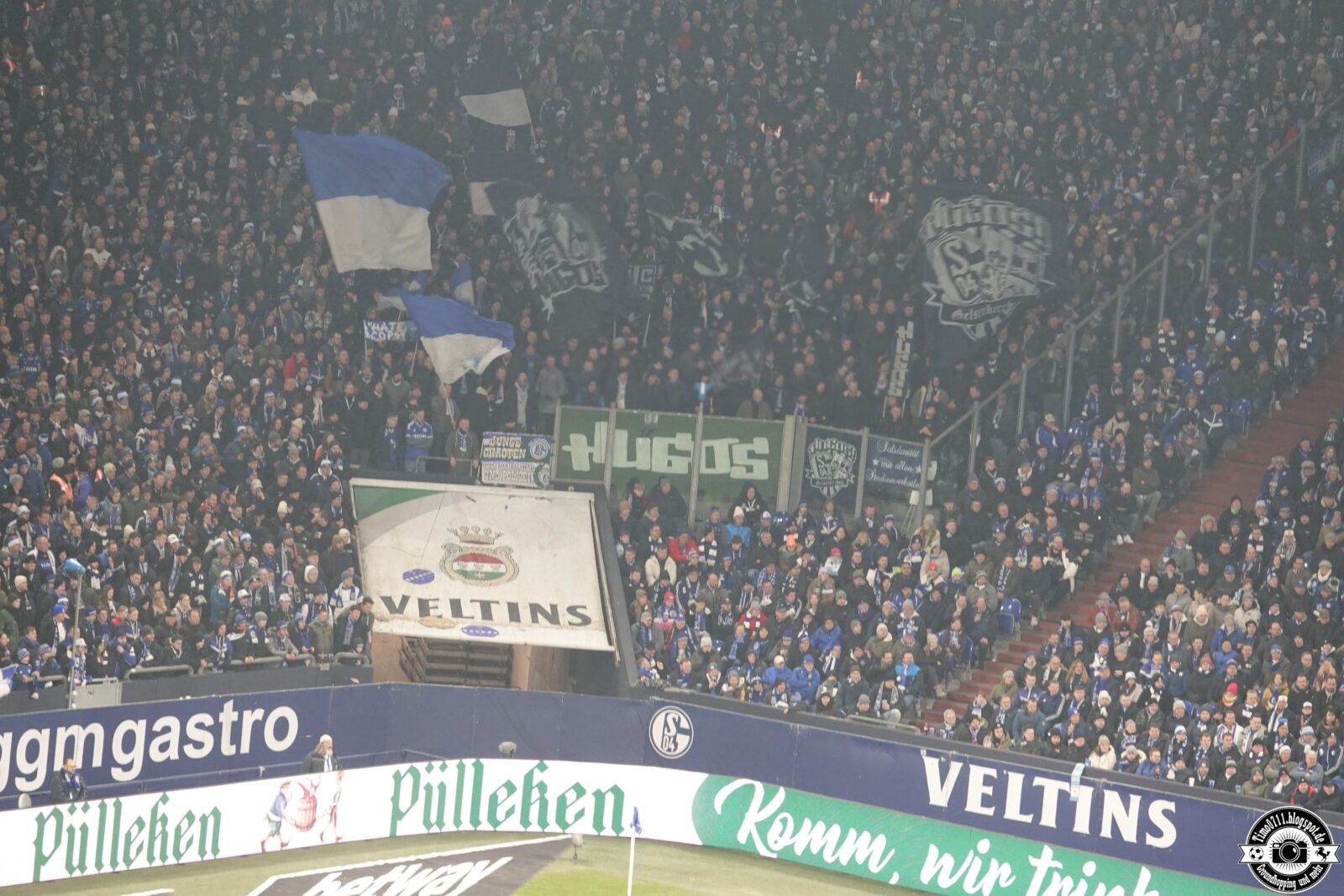 FC Schalke 04 – Hamburger SV (15)