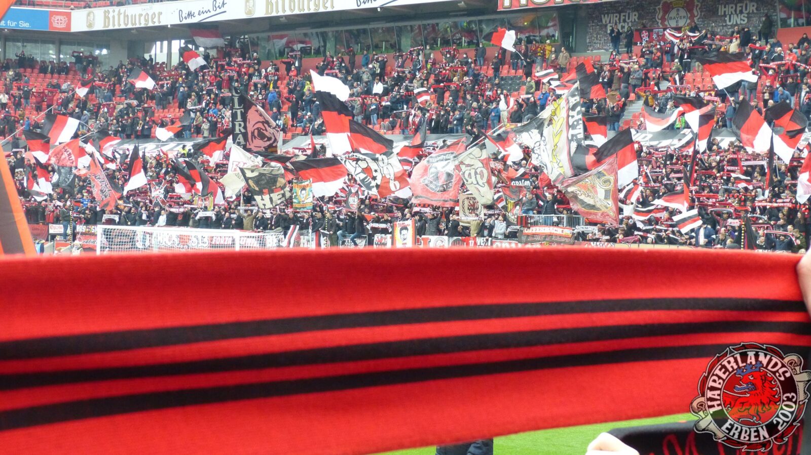 Bayer 04 Leverkusen – Hertha BSC 2-1 (4)