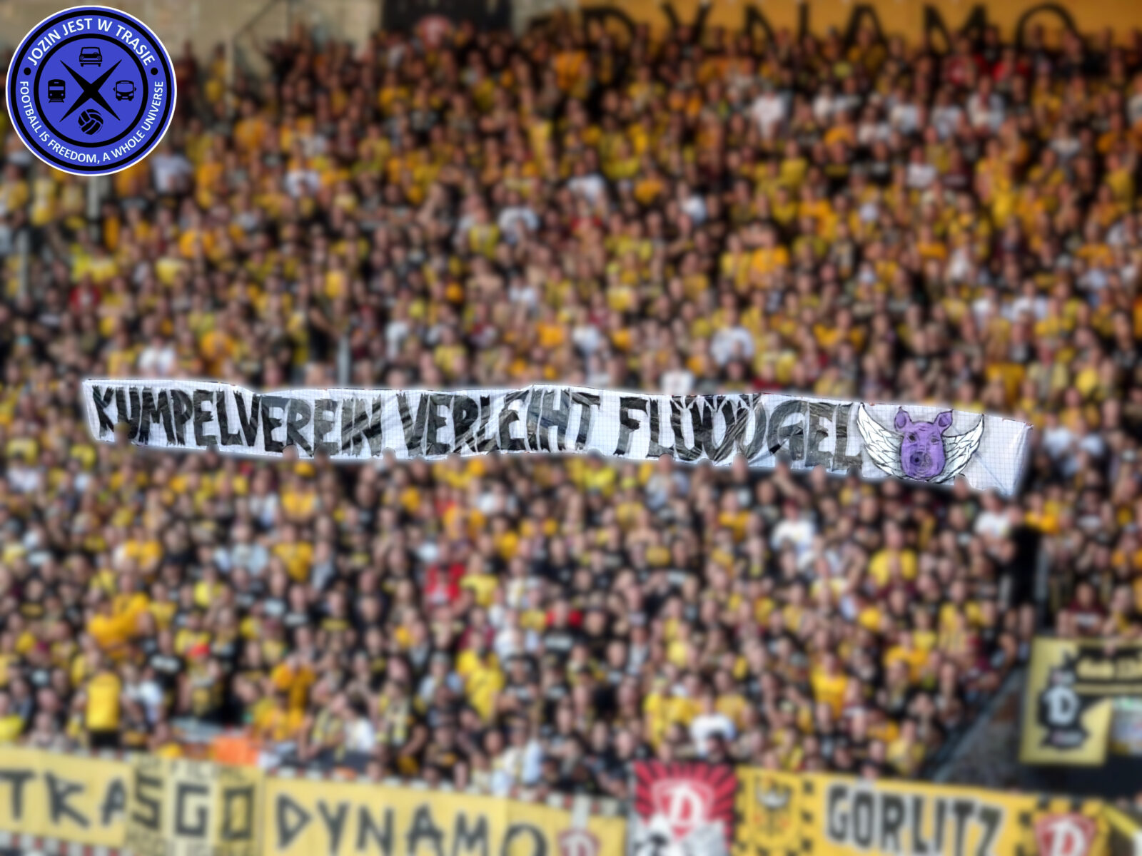 FC Erzgebirge Aue – Dynamo Dresden 2-0 (2)