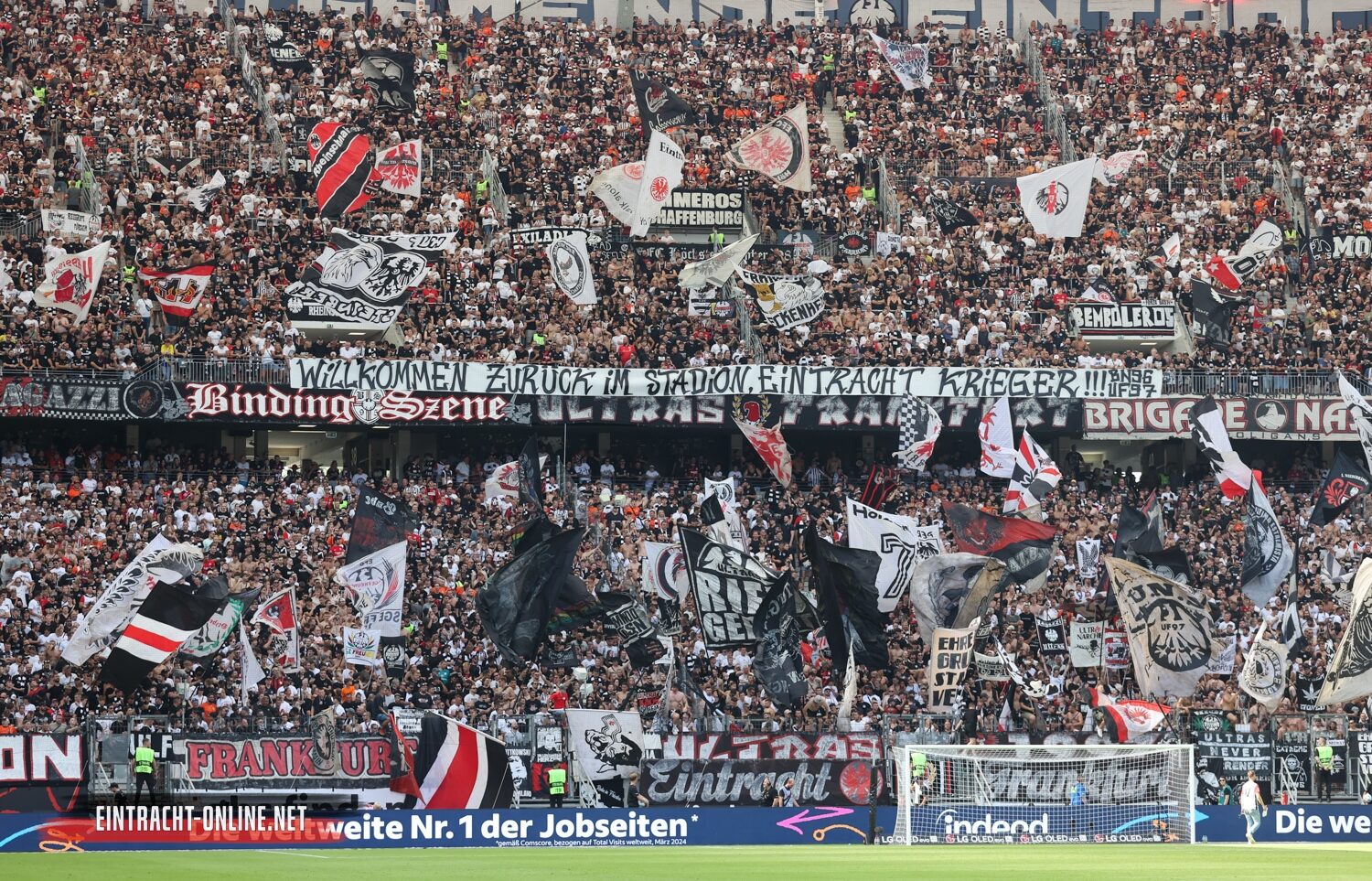 Eintracht Frankfurt – TSG Hoffenheim 3-1 (38)