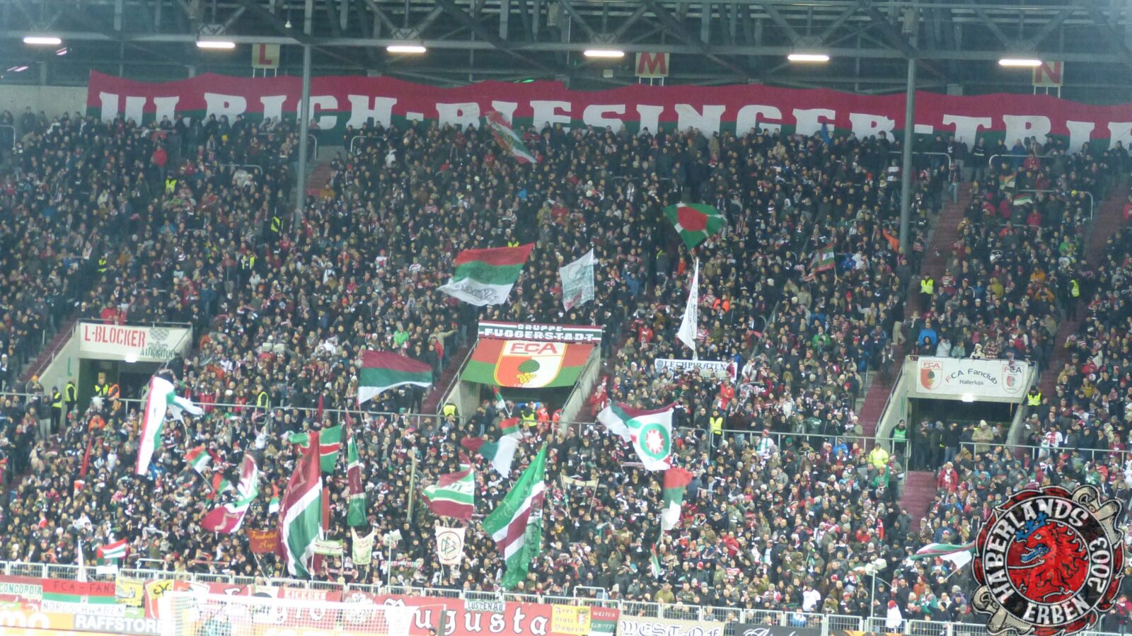 FC Augsburg – Bayer 04 Leverkusen 1-0 (5)