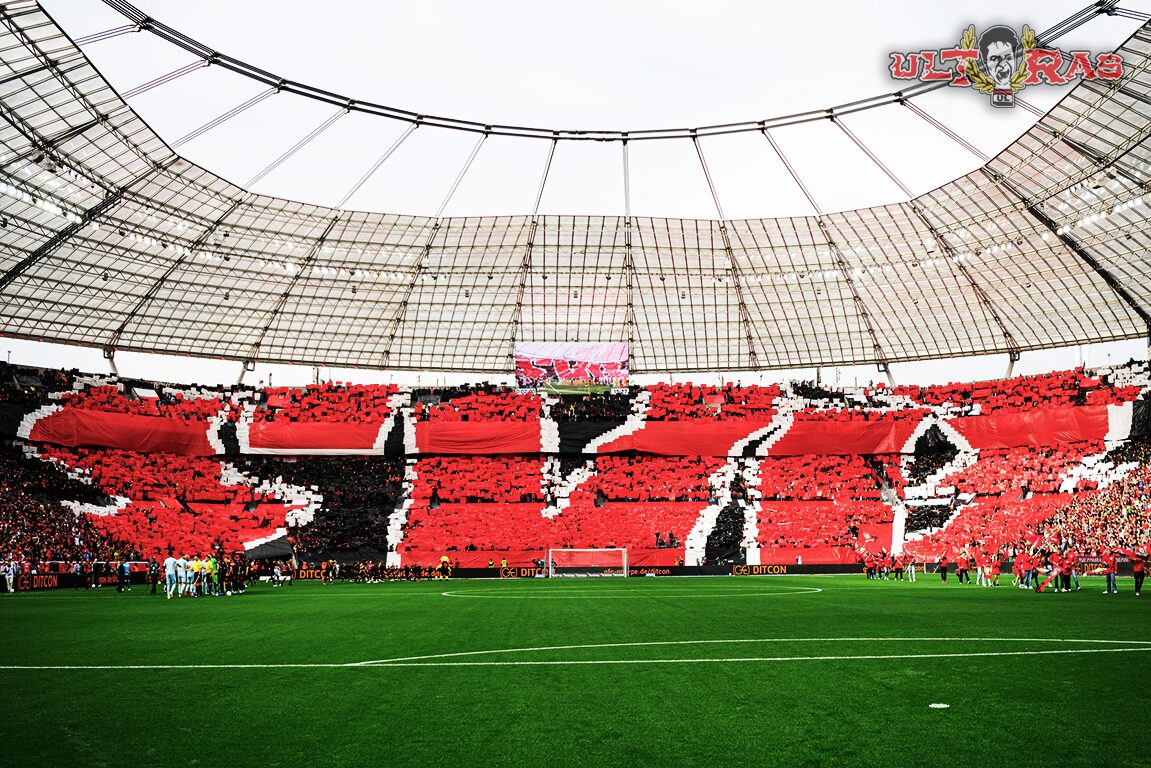 Bayer 04 Leverkusen – 1. FC Köln 3-0 (8)