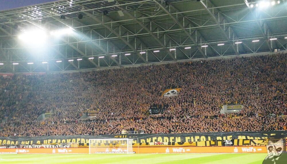 Dynamo Dresden – FC Erzgebirge Aue 2-1 (11)