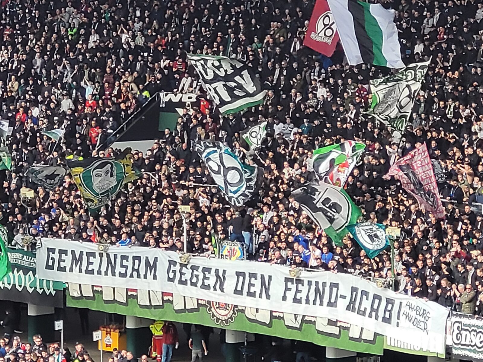 Hannover 96 – Fortuna Düsseldorf 2-2 (9)