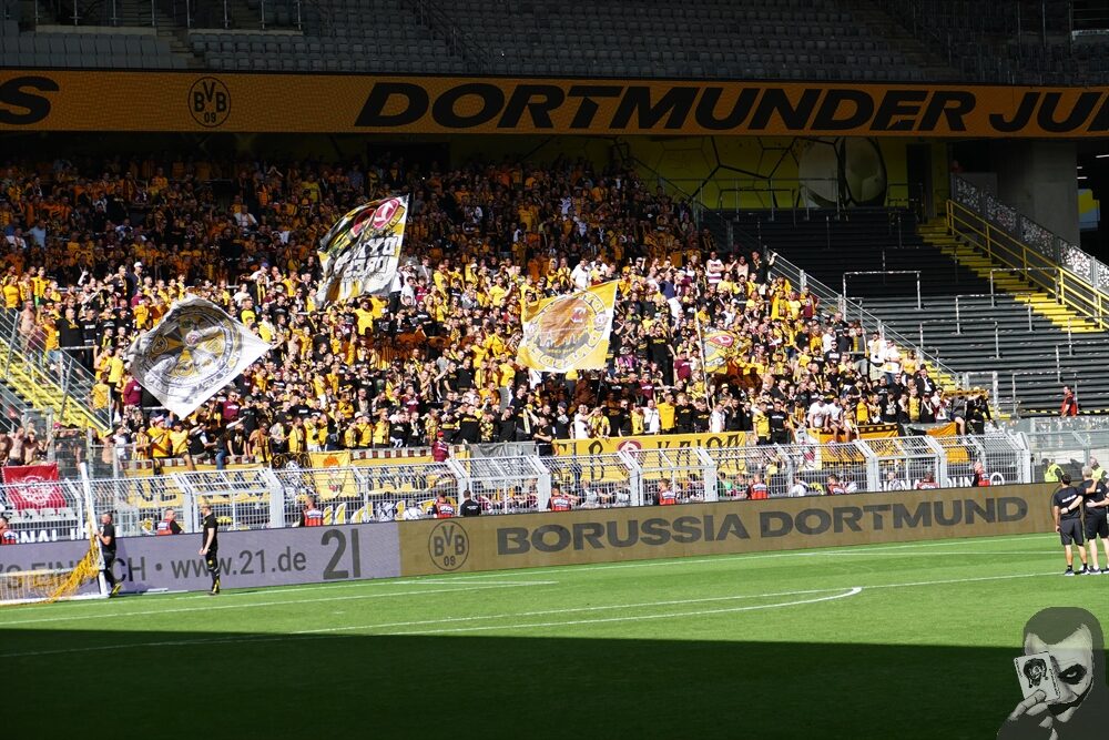 Borussia Dortmund II – Dynamo Dresden 0-2 (2)