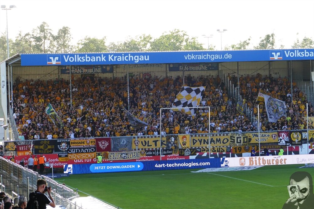 SV Sandhausen – Dynamo Dresden 1-0 (8)