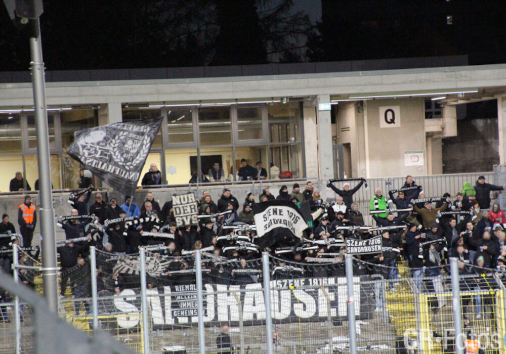 TSV 1860 München – SV Sandhausen 1-1