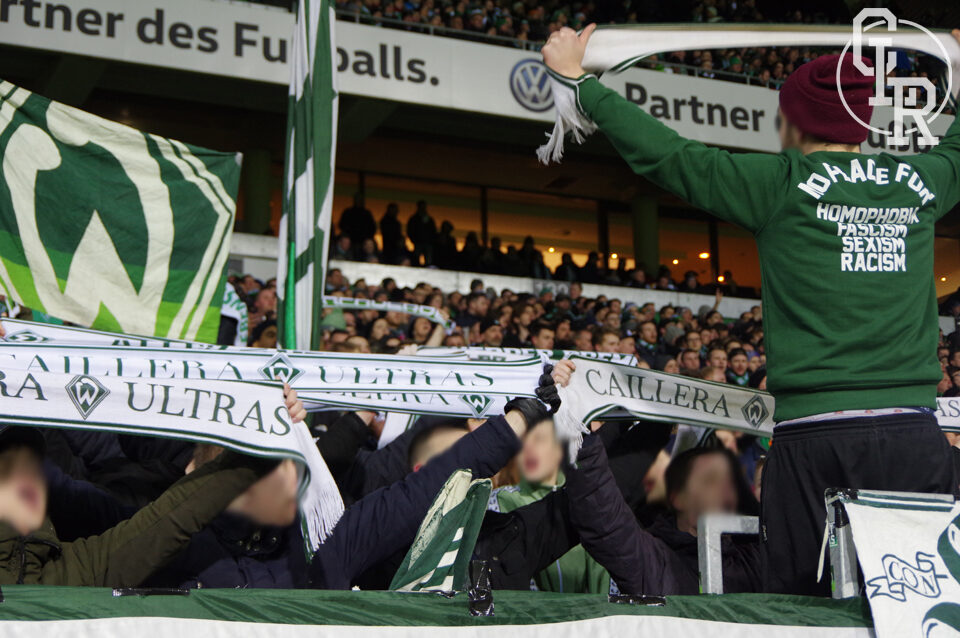 Werder Bremen vs VfL Wolfsburg (3-1) (7)