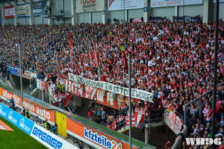 SC Paderborn vs 1. FC Köln (0-0) (6)
