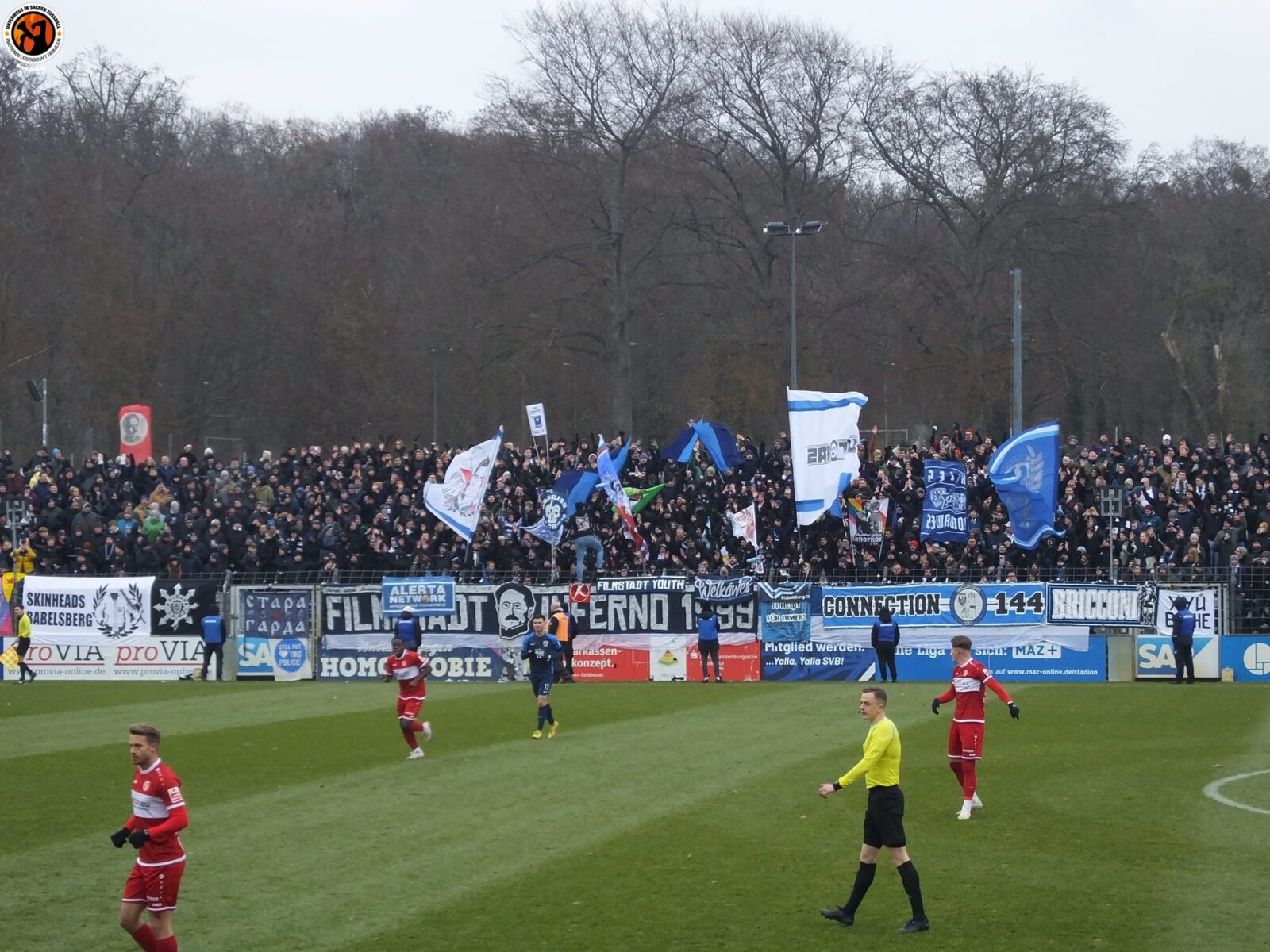 SV Babelsberg 03 – FC Energie Cottbus 0-1 (7)