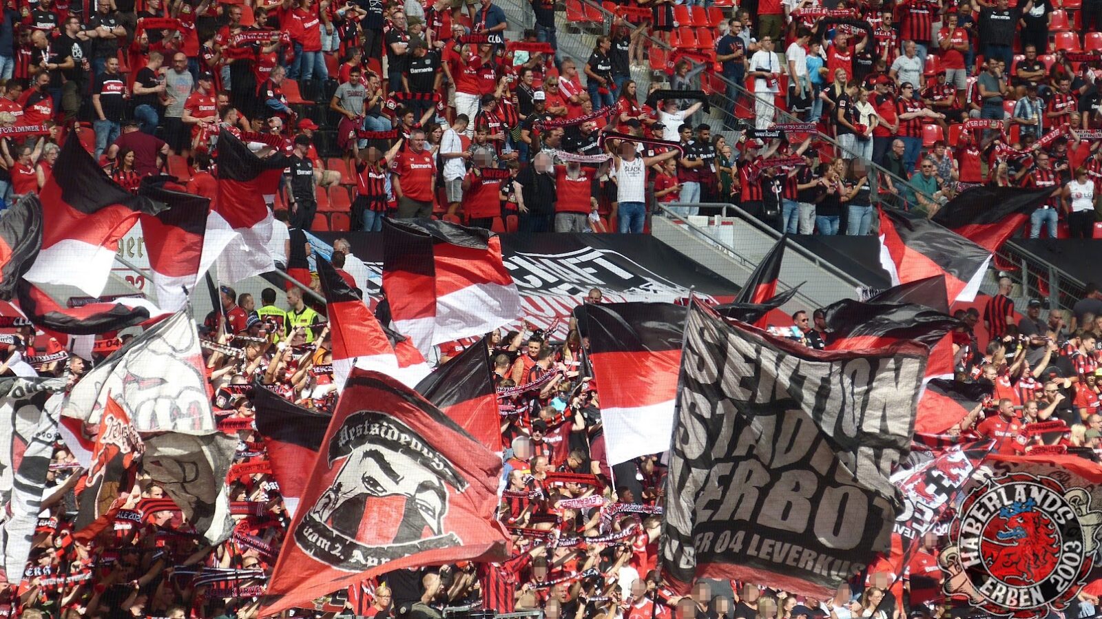 Bayer 04 Leverkusen – SC Freiburg 2-3 (7)