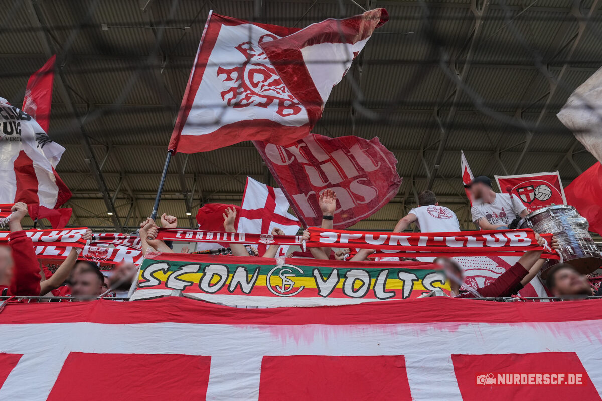 SC Freiburg – VfL Bochum 2-1 (5)
