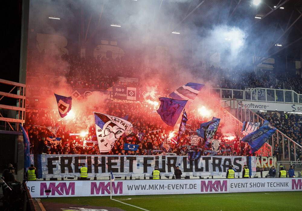 SV Darmstadt 98 – Hamburger SV 1-1 (9)