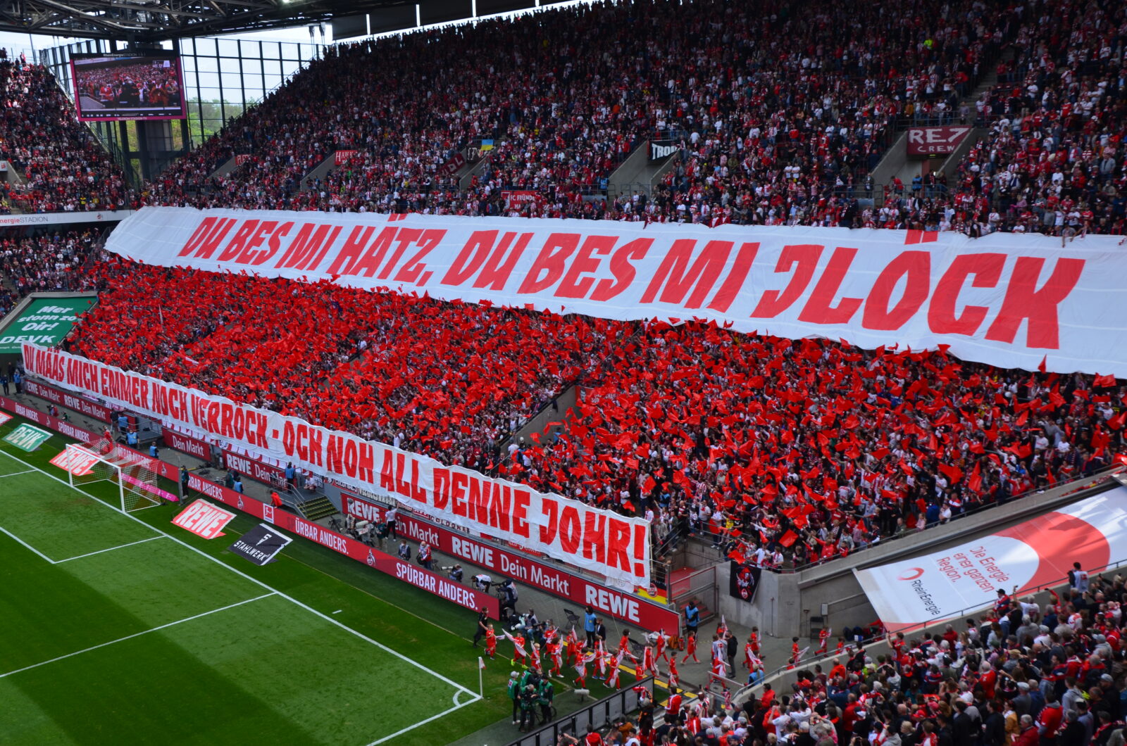 1. FC Köln – DSC Arminia Bielefeld 3-1 (7)