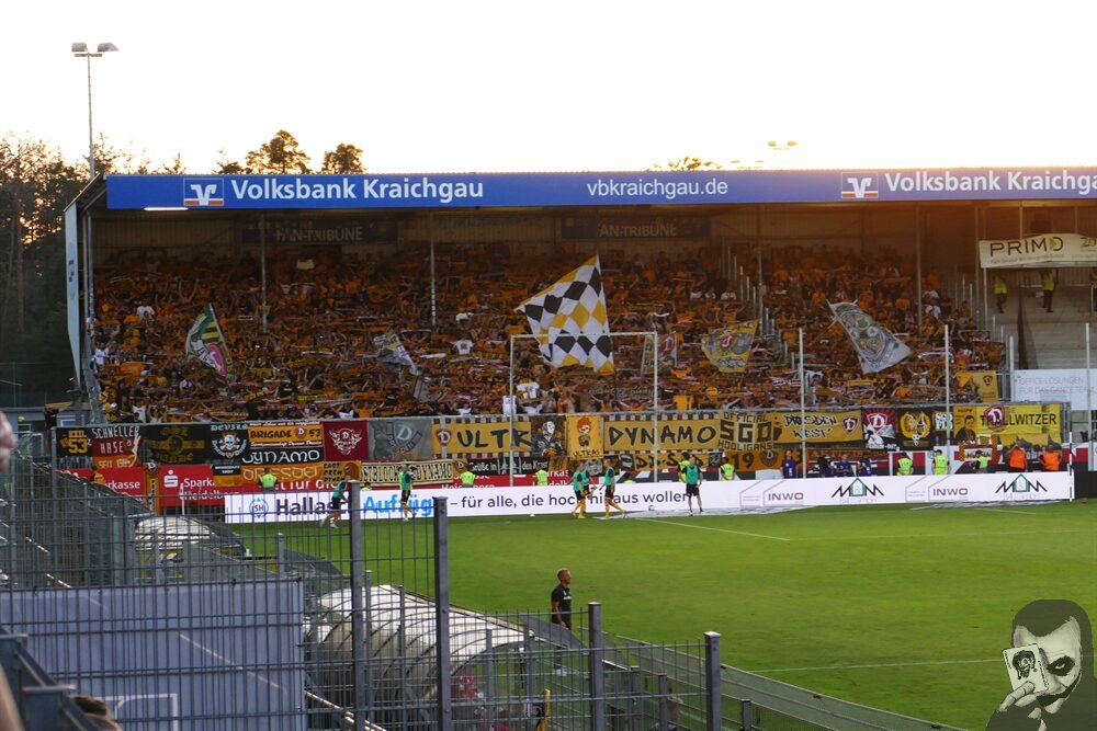 SV Sandhausen – Dynamo Dresden 1-0 (6)