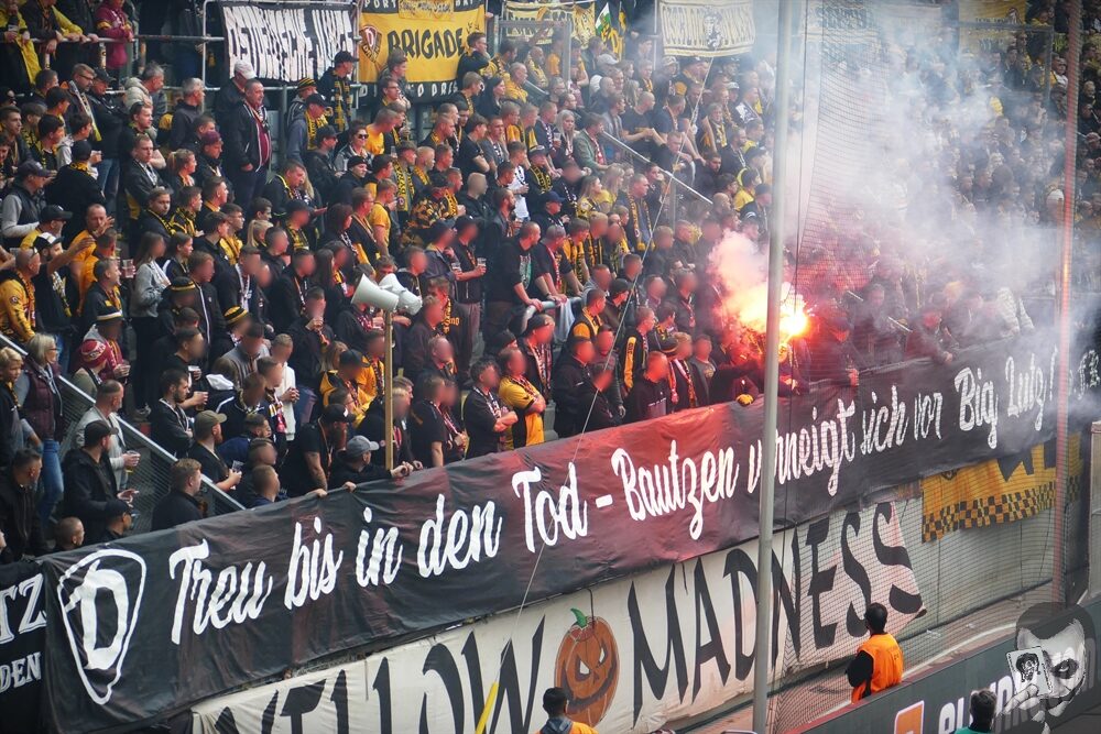 Dynamo Dresden – FC Ingolstadt 1-1 (11)