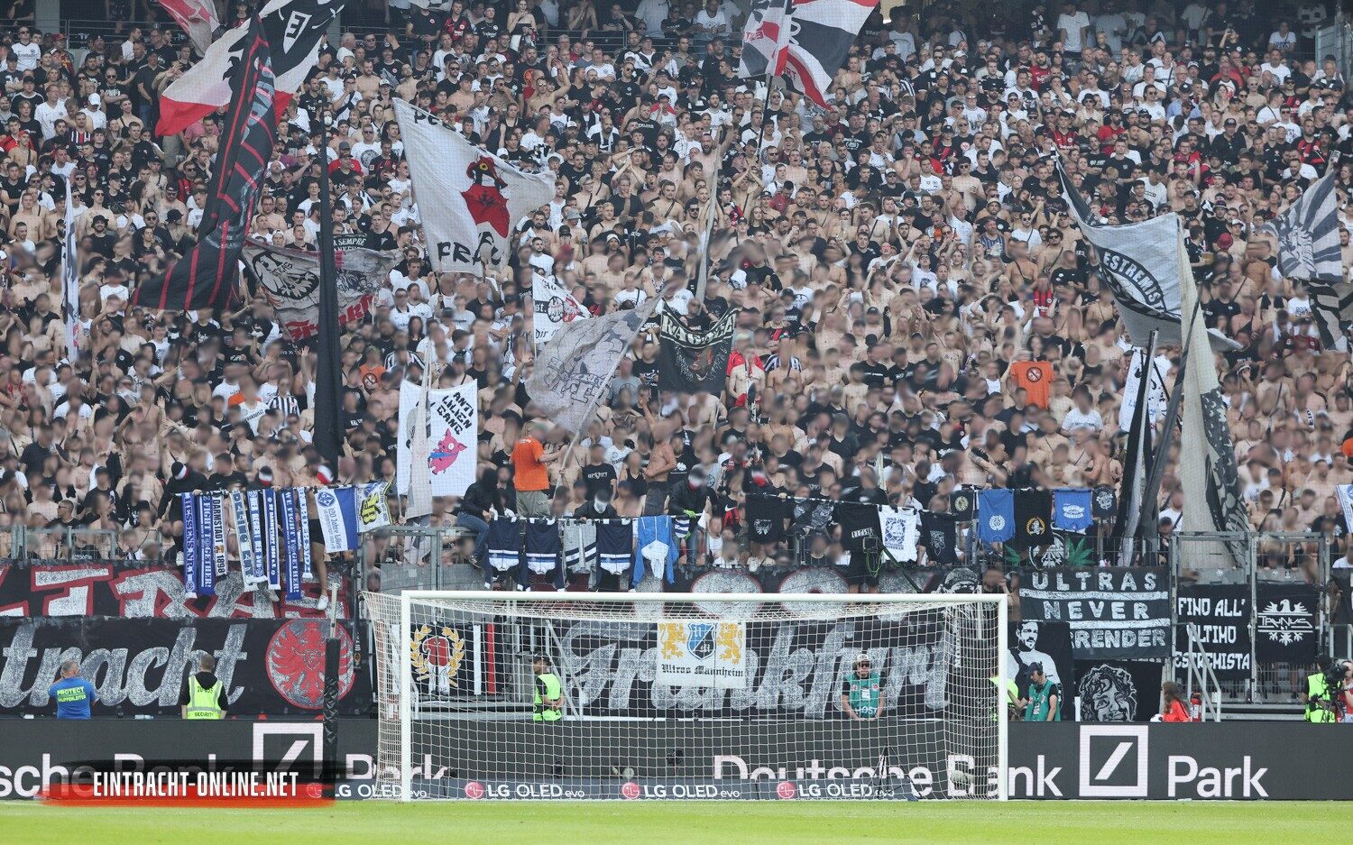 Eintracht Frankfurt – SV Darmstadt 98 1-0 (17)