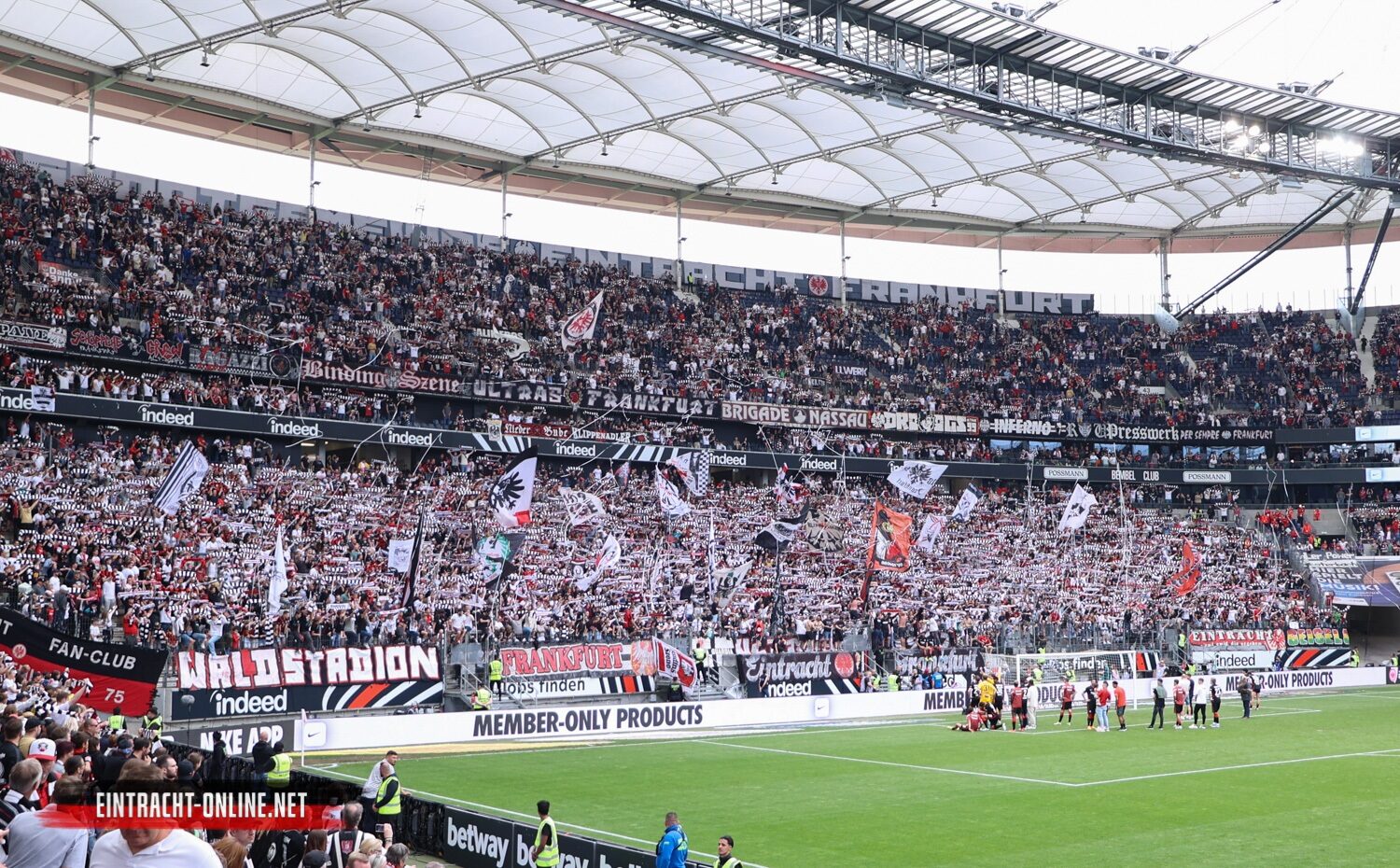 Eintracht Frankfurt – Borussia Mönchengladbach 1-1 (3)