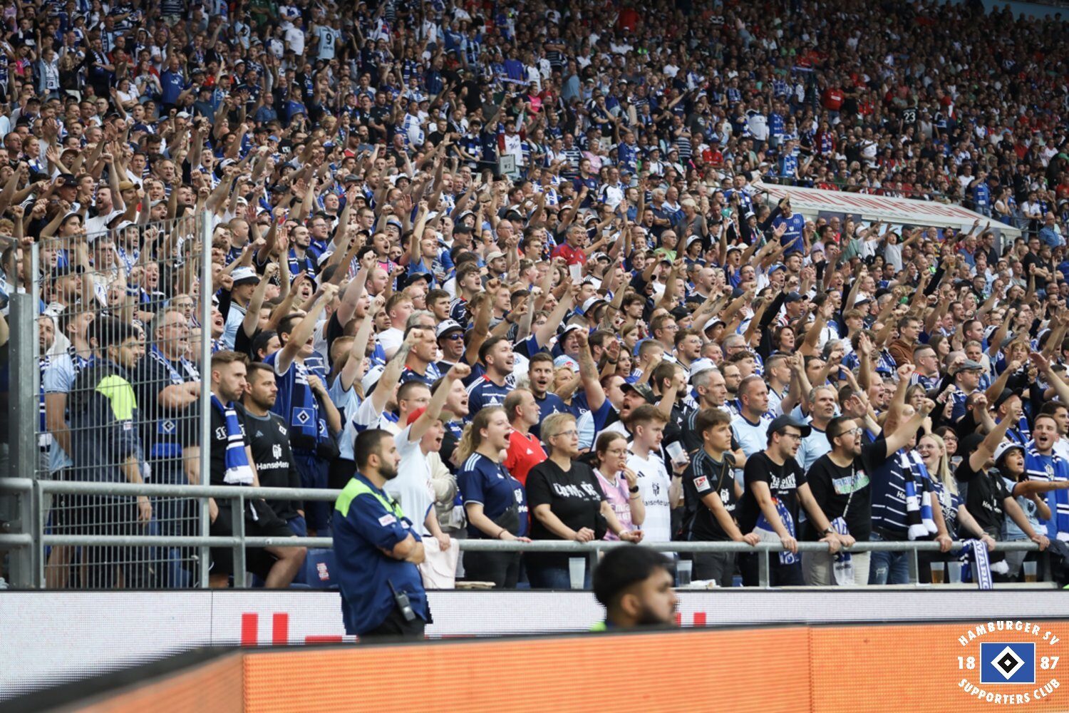Hannover 96 – Hamburger SV 1-0 (35)