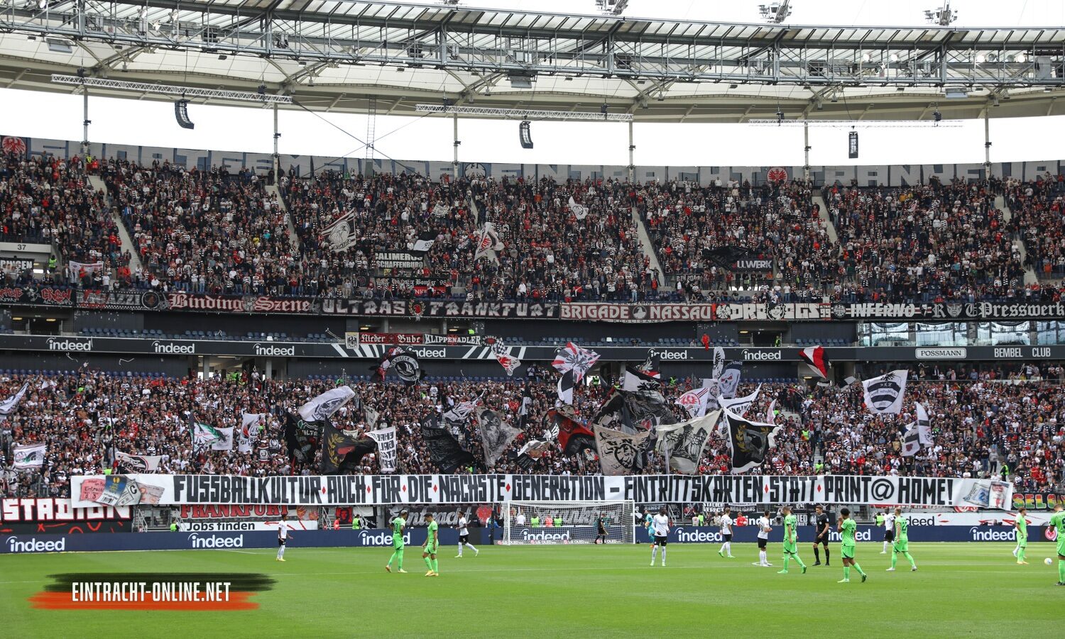Eintracht Frankfurt – VfL Wolfsburg 0-1 (13)