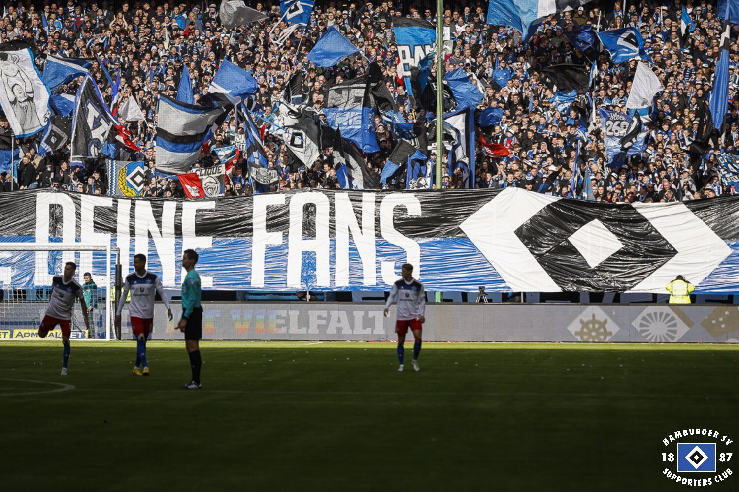 Hamburger SV – DSC Arminia Bielefeld 2-1 (12)