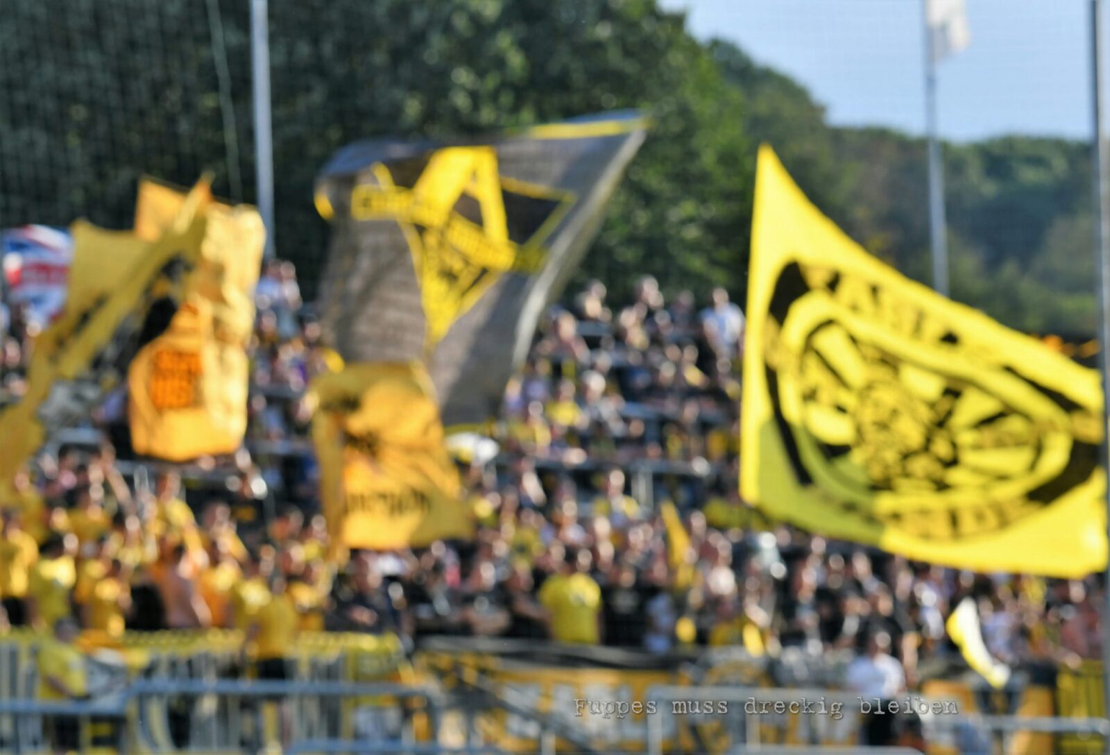 Wuppertaler SV – TSV Alemannia Aachen 0-0 (4)