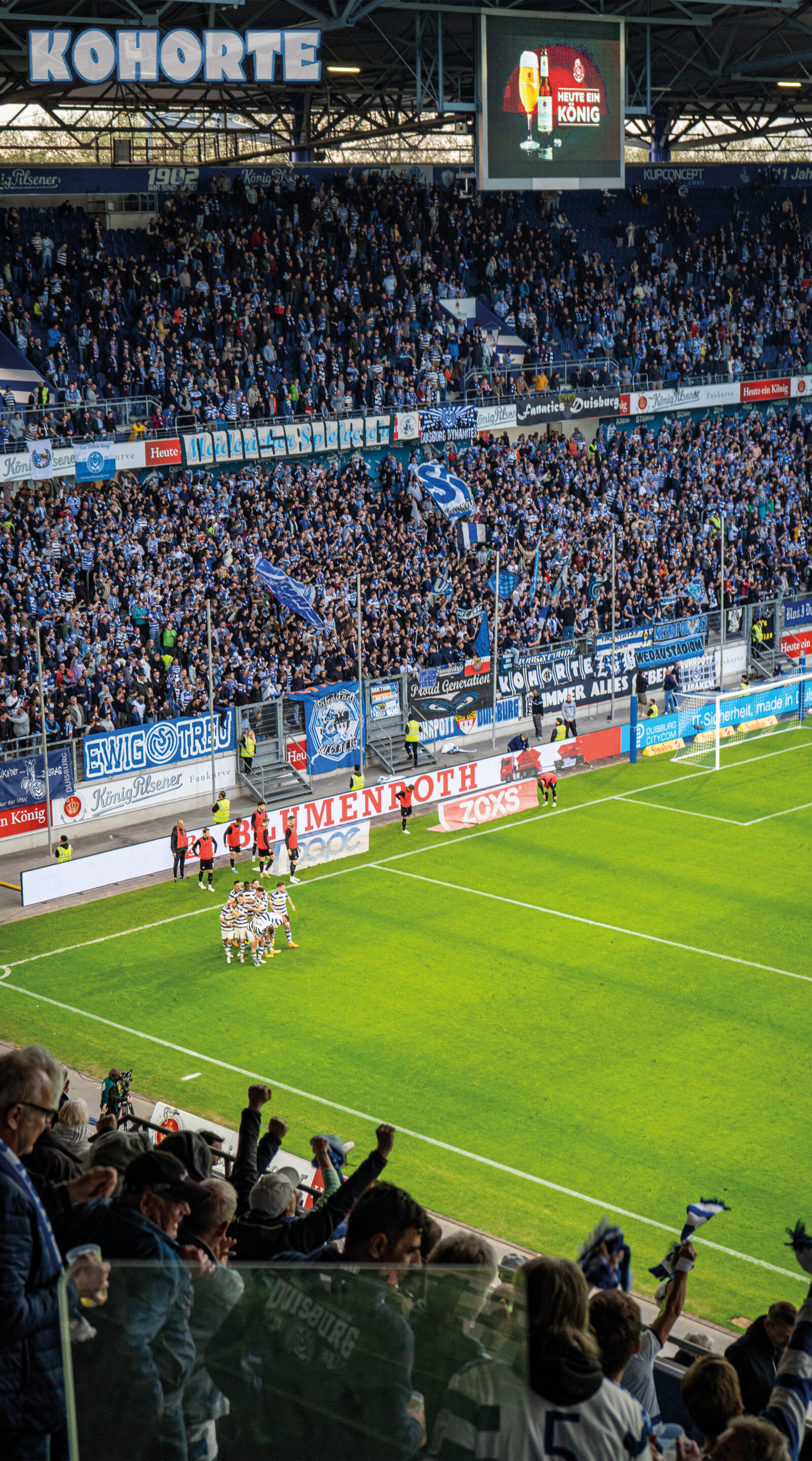 MSV Duisburg – FC Erzgebirge Aue 3-0 (6)