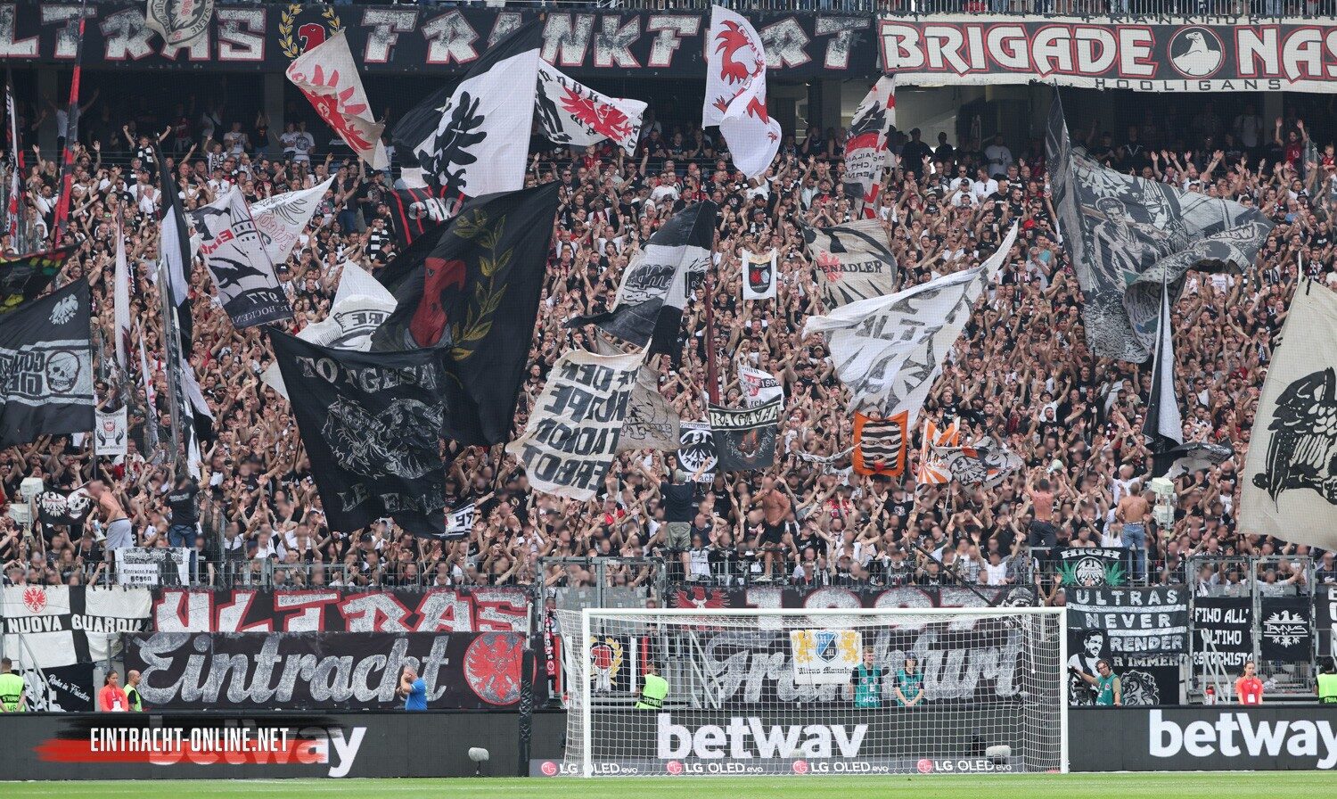 Eintracht Frankfurt – 1, FC Köln 1-1 (7)