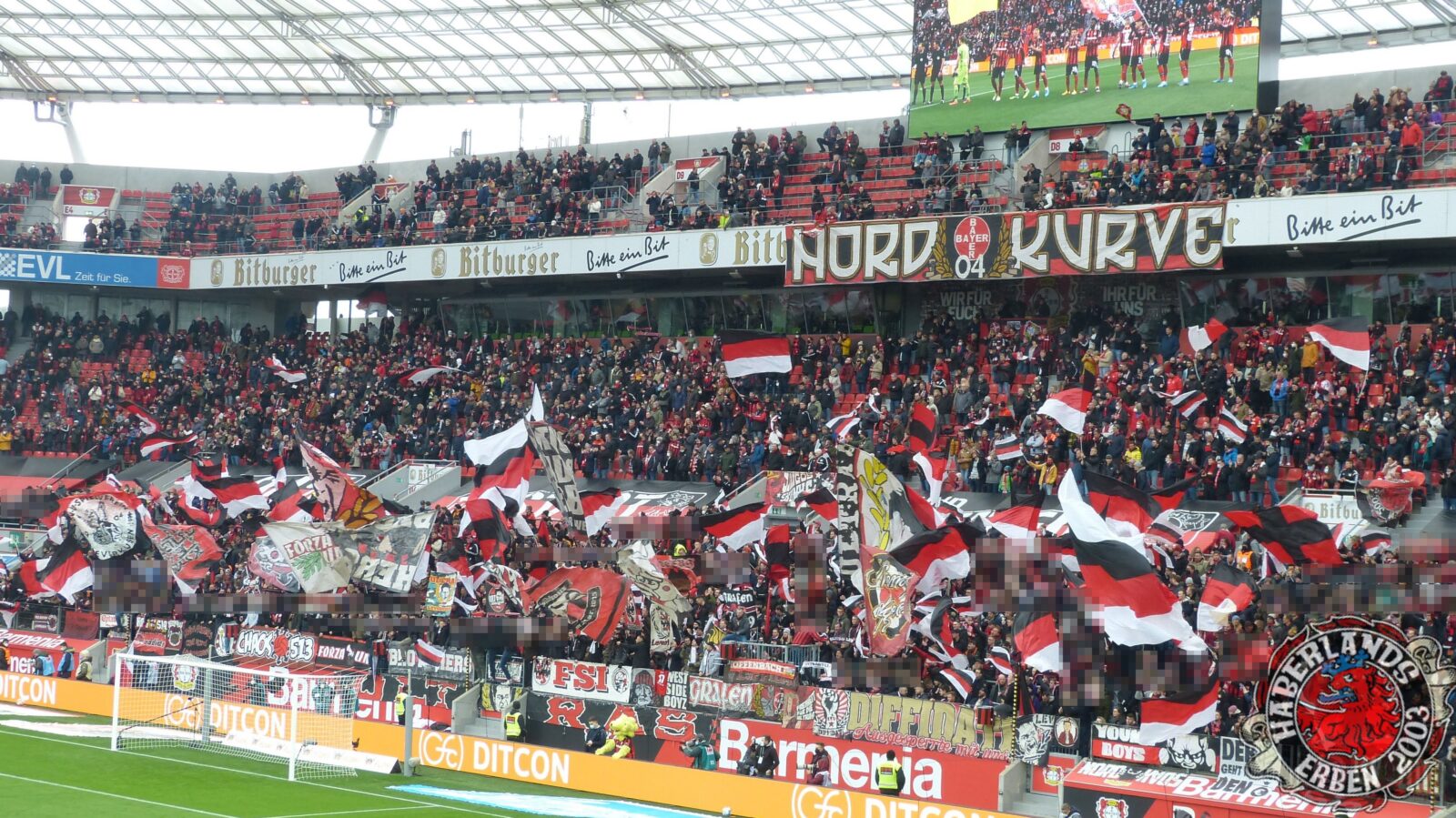 Bayer 04 Leverkusen – Hertha BSC 2-1 (12)