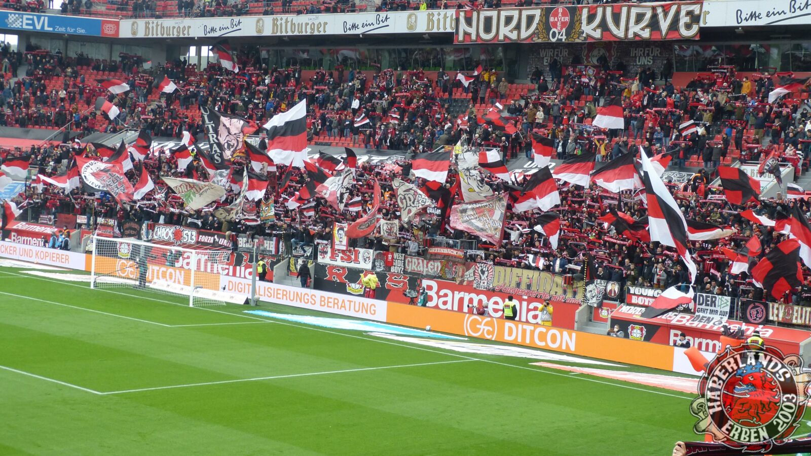 Bayer 04 Leverkusen – Hertha BSC 2-1 (10)