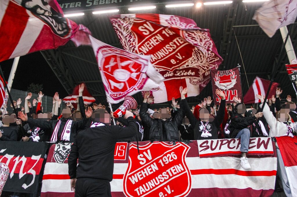 SV Waldhof Mannheim – SV Wehen 2-2