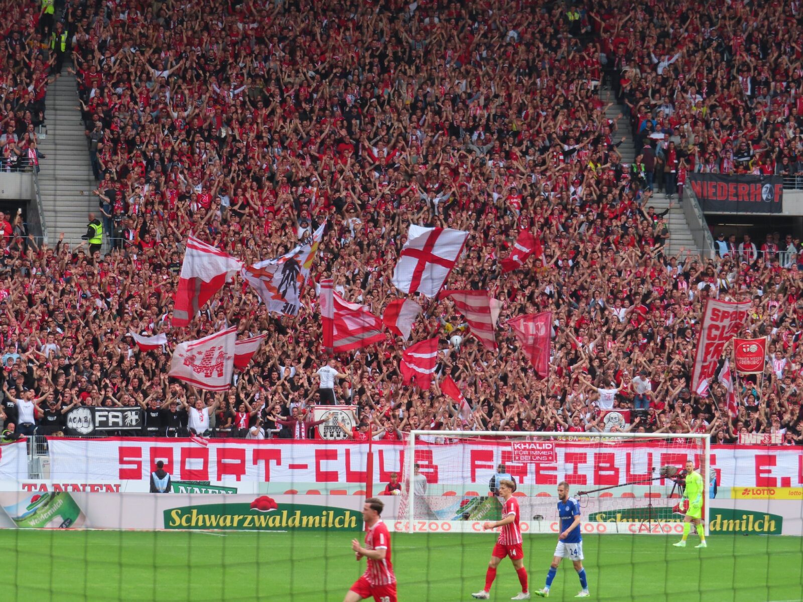 SC Freiburg – FC Schalke 04 4-0